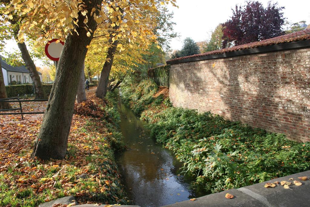 Thorn B&B Dış mekan fotoğraf
